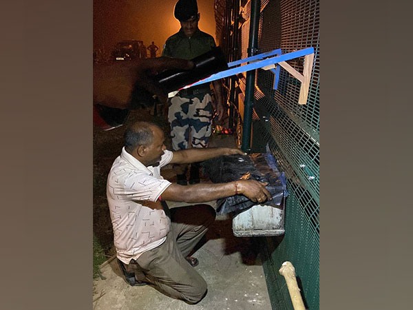 BSF initiates scheme of beekeeping to secure IndiaBangladesh border