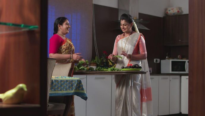 Hamsa and Dharani in Akka Chellellu