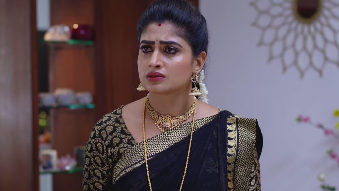 Dharani in Akka Chellellu