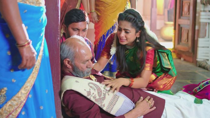 Sarsu and Peddayyina in No 1 Kodalu
