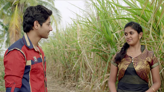 5 reasons to watch the rinku rajguru and akash thosar starrer sairat premium zee5 akash thosar starrer sairat
