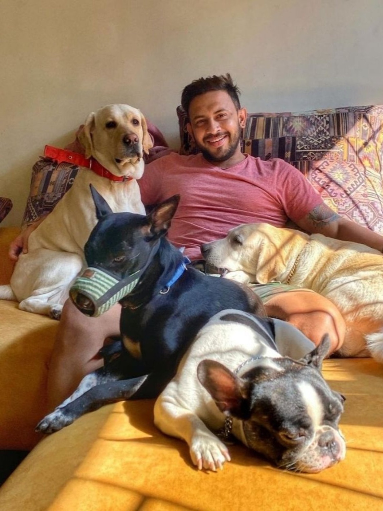 Bengali stars with their fur babies
